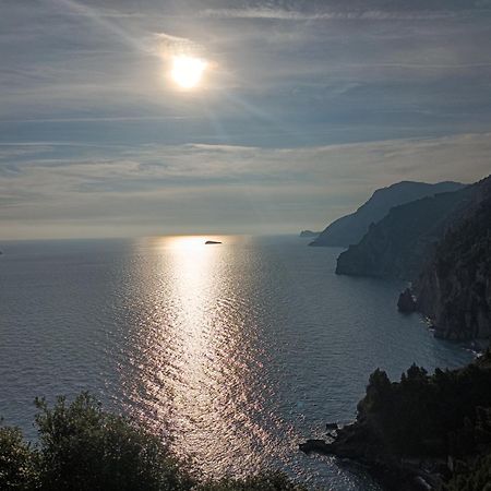 Amalfi Coast, Positano, Sorrento, Capri, Garden, Villa Carcara Colli di Fontanelle Екстериор снимка