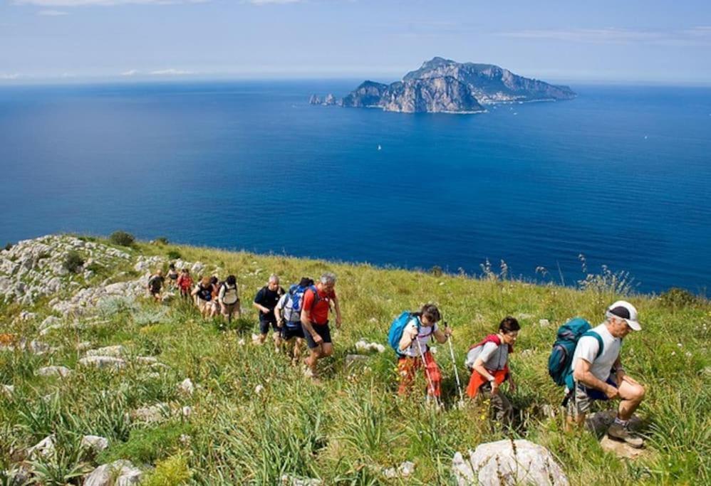 Amalfi Coast, Positano, Sorrento, Capri, Garden, Villa Carcara Colli di Fontanelle Екстериор снимка