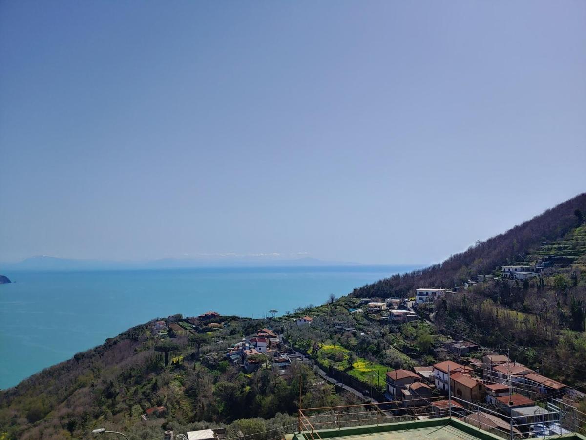 Amalfi Coast, Positano, Sorrento, Capri, Garden, Villa Carcara Colli di Fontanelle Екстериор снимка