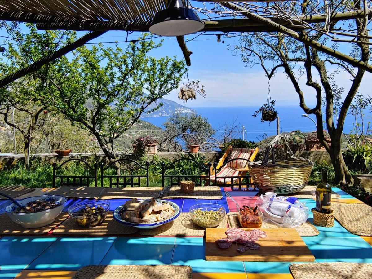 Amalfi Coast, Positano, Sorrento, Capri, Garden, Villa Carcara Colli di Fontanelle Екстериор снимка