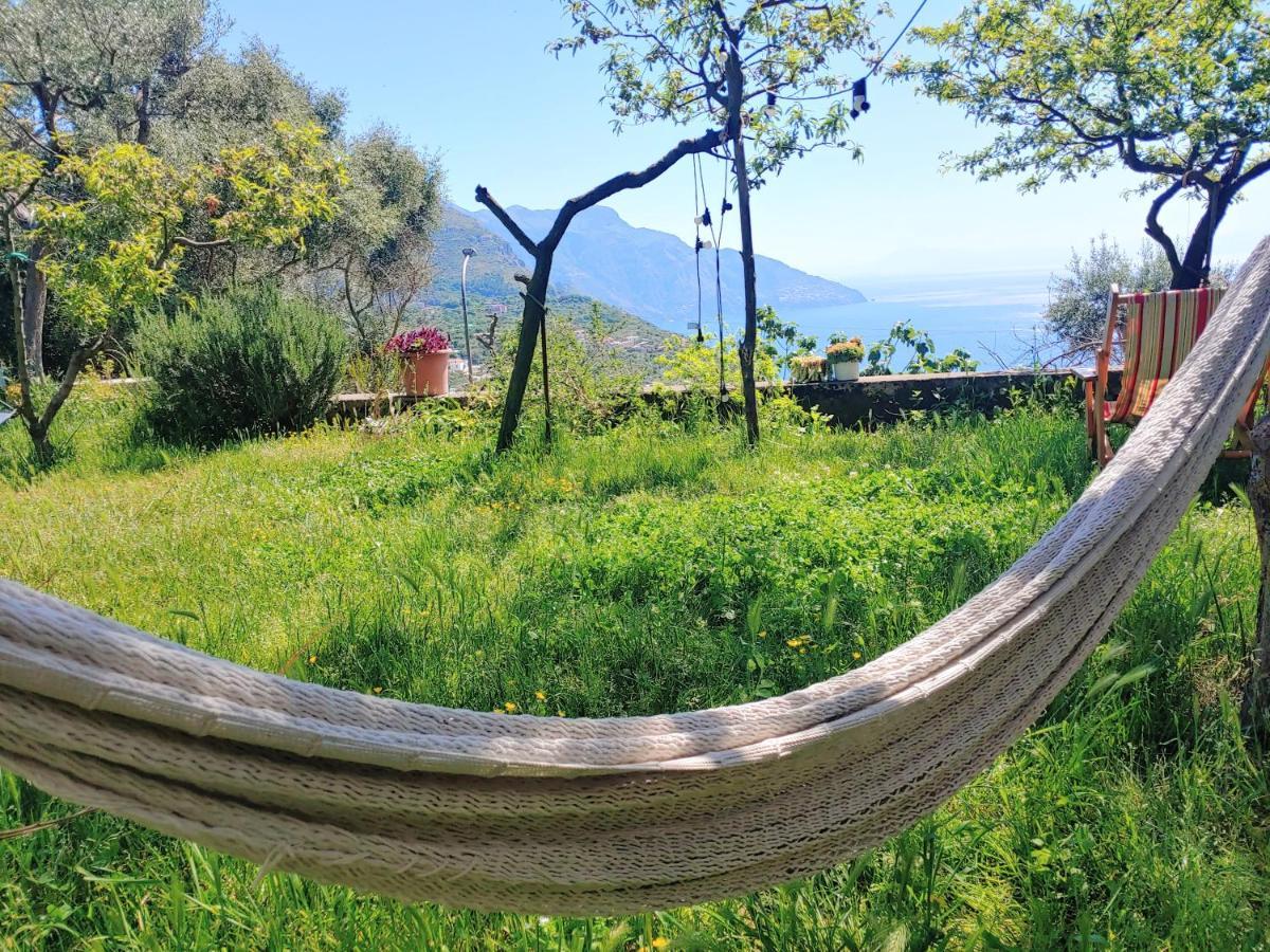 Amalfi Coast, Positano, Sorrento, Capri, Garden, Villa Carcara Colli di Fontanelle Екстериор снимка