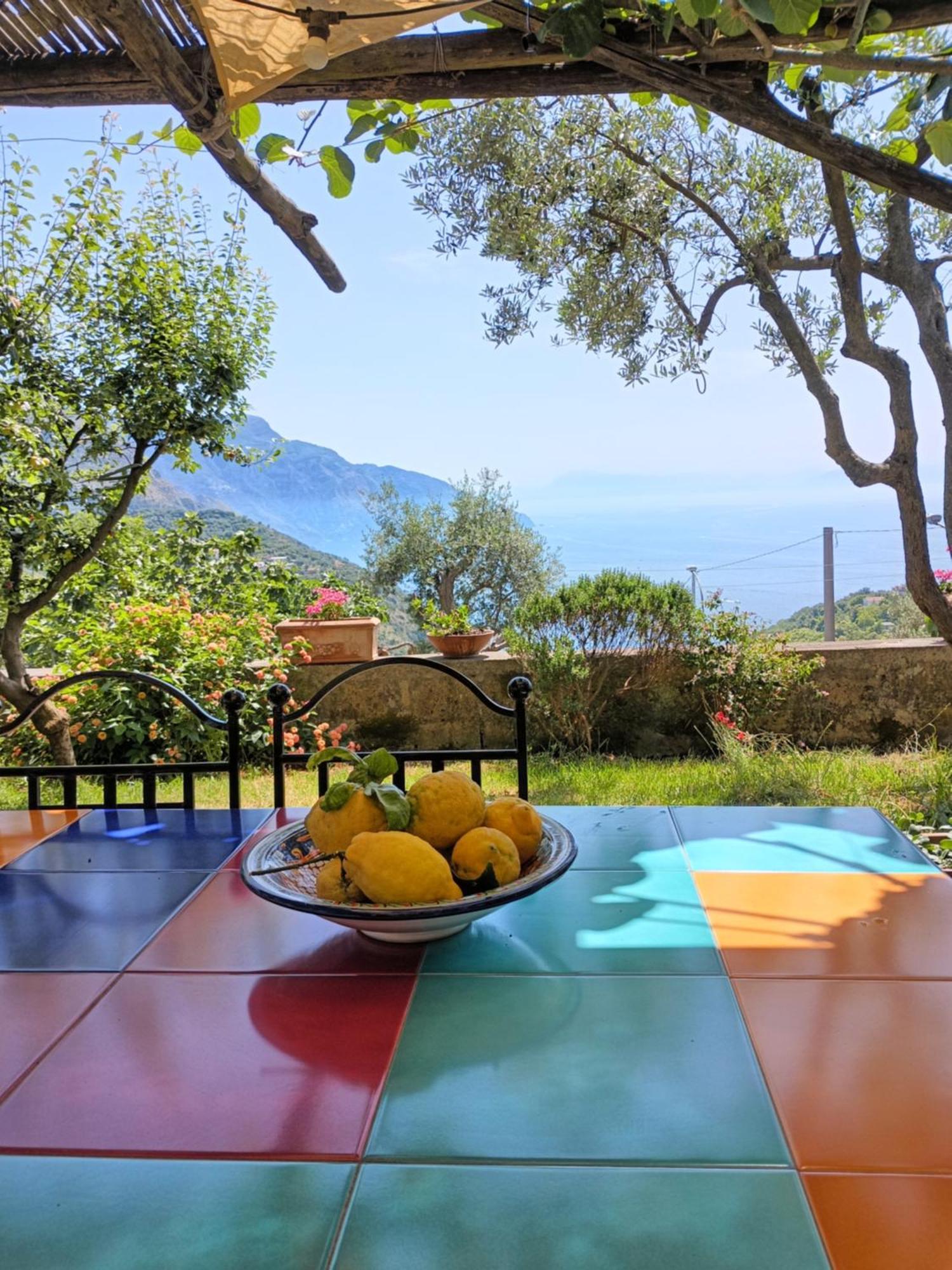 Amalfi Coast, Positano, Sorrento, Capri, Garden, Villa Carcara Colli di Fontanelle Екстериор снимка