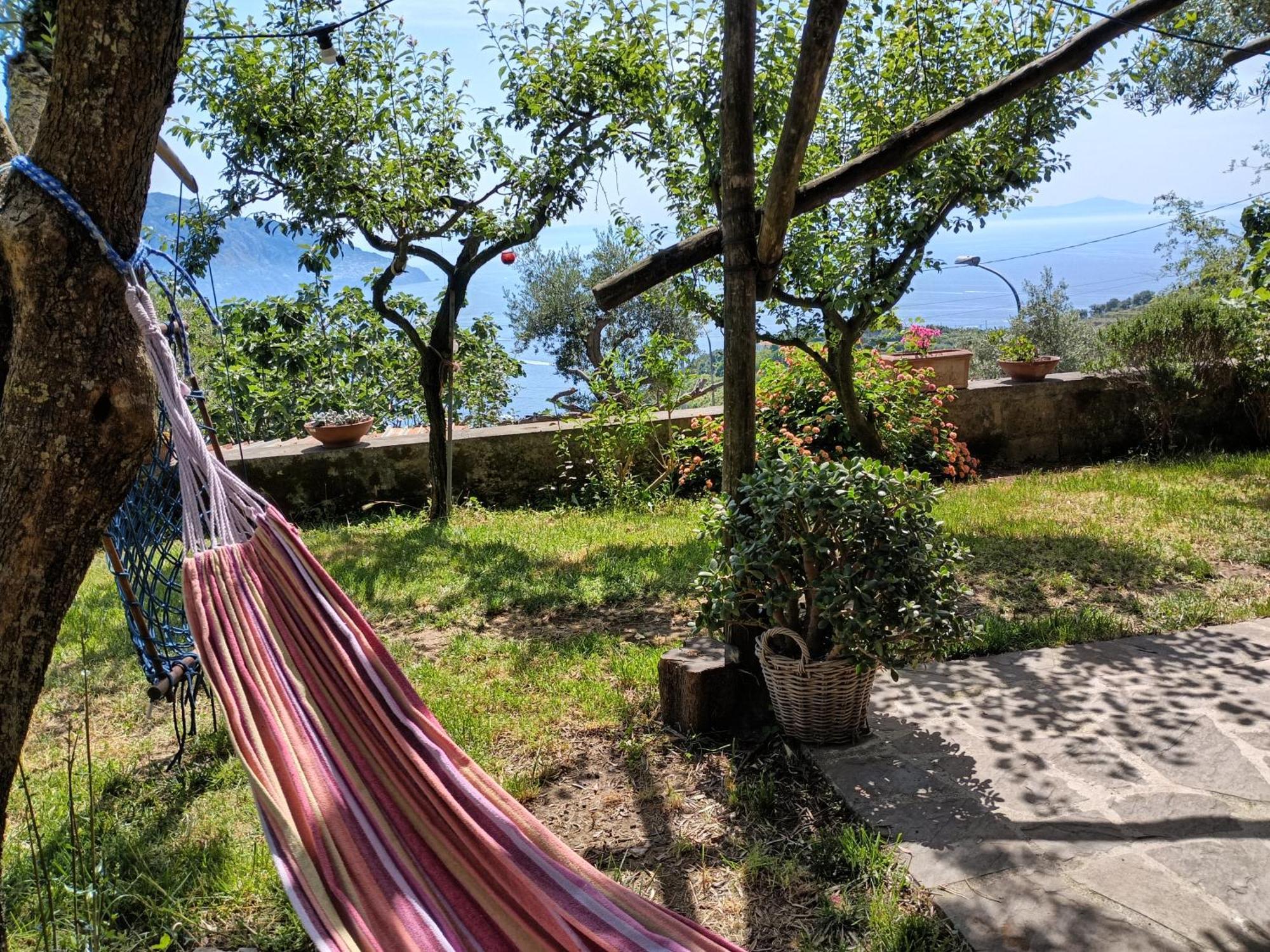 Amalfi Coast, Positano, Sorrento, Capri, Garden, Villa Carcara Colli di Fontanelle Екстериор снимка
