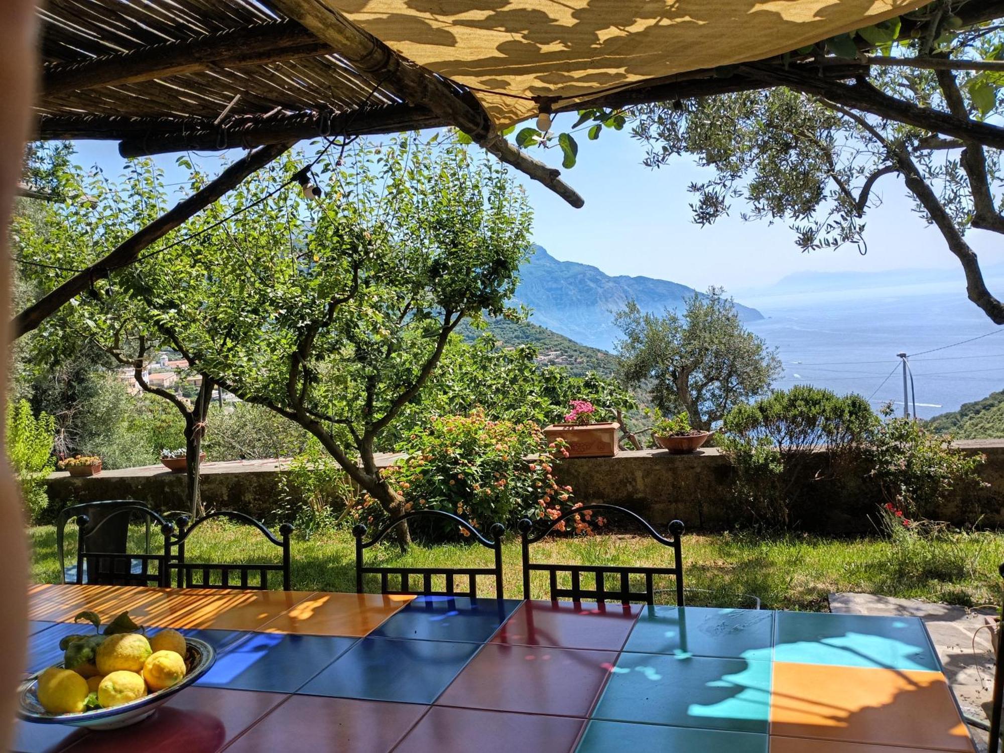 Amalfi Coast, Positano, Sorrento, Capri, Garden, Villa Carcara Colli di Fontanelle Екстериор снимка